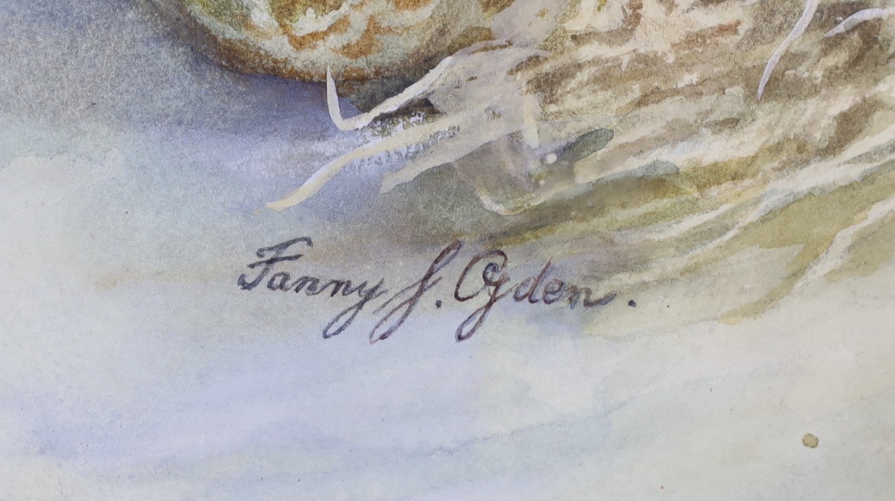 Fanny J. Ogden, watercolour, Still life of fruit, a jug and roses in a basket, signed, 33 x 48cm